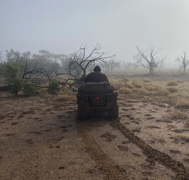 Heading West to Augathella: A Return to Our Favorite Cattle Station